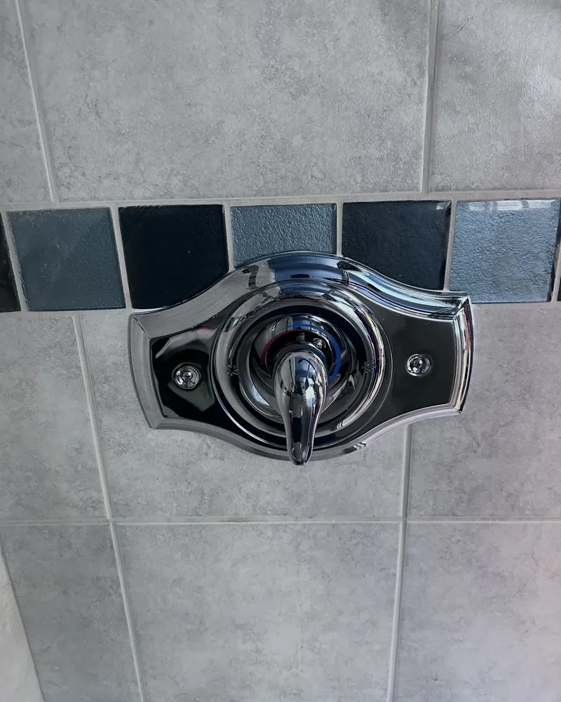 New shower valve and trim
